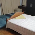 Апартамент Заменхоф